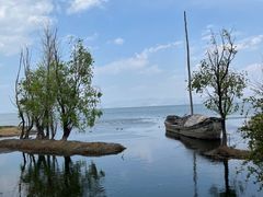 -洱海月湿地公园