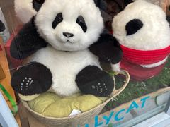 -三联韬奋书店(宽窄巷子店)