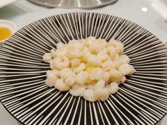 -新雅粤菜馆(南京东路店)