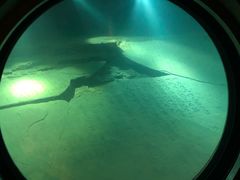 -白鹤梁水下博物馆