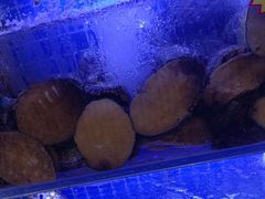 -77号渔船·蒸海鲜青岛菜(积米崖店)