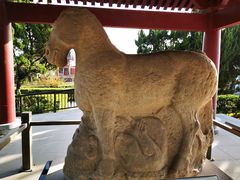 -茂陵博物馆
