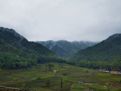 -龙坞茶村