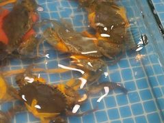 -好人家海鲜酒楼(淞南路店)
