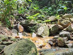 -火炉山森林公园