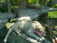 -北京野生动物园