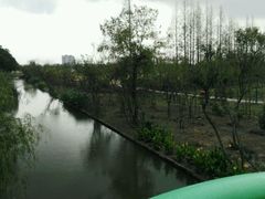 -上海长兴岛郊野公园