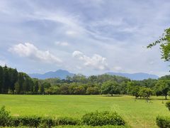 -福建鲤鱼洲酒店