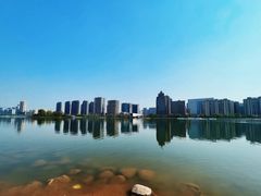 -金沙湖公园