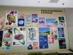 -鹏欣水游城