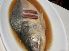 -蝶园·装修中(BFC外滩金融中心店)