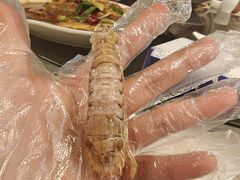 -魚當家