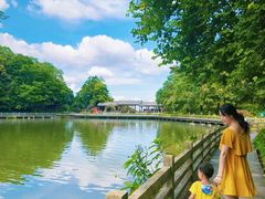-广州市帽峰山景区