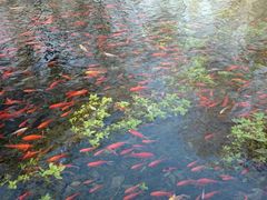 -水磨沟公园