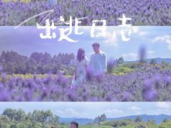 -紫颐香薰山谷景区