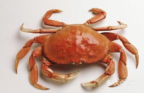 Qingshan Lake Crab