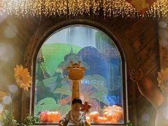 -郑州方特梦幻王国