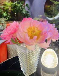 -花隐·美芙炫海菲秀皮肤管理中心