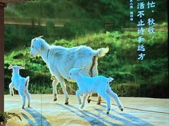 -乡里八闽·福州乡土菜(高宅店)