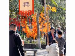 -桂林古东瀑布景区