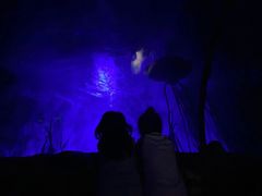 -沈阳海洋探索中心