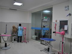 店内环境-康旭宠物医院(郑州总院)