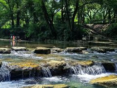 -北仑森林植物园