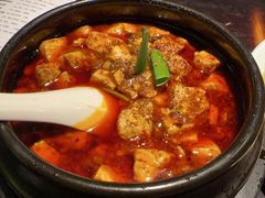 -陈麻婆豆腐总店