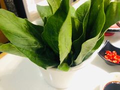 -洪氏嗨捞·猪肚鸡火锅(阳光天地店)