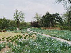 -绿堤公园