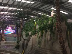 -南宫温泉水世界