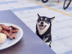 -ommo cafe(半岛城邦店)