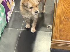 -土连锅·现熬养生汤锅(梁家巷店)