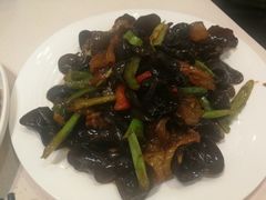 -南波万
