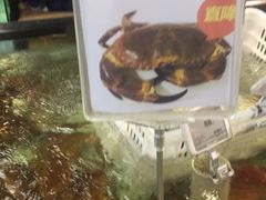 -盒马渔市餐厅