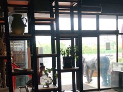 大堂-暹罗酒肆泰餐厅酒吧