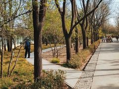 -森林公园(尖草坪区)