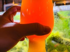 -雪梨精酿 Sydney Coast Brewing(沁春家园店)