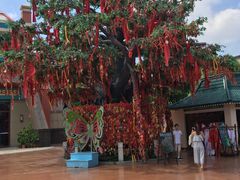 -芜湖方特东方神画