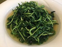 -碧丽宫大酒店(召稼楼店)