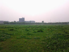 照片0015-同济大学(嘉定校区)