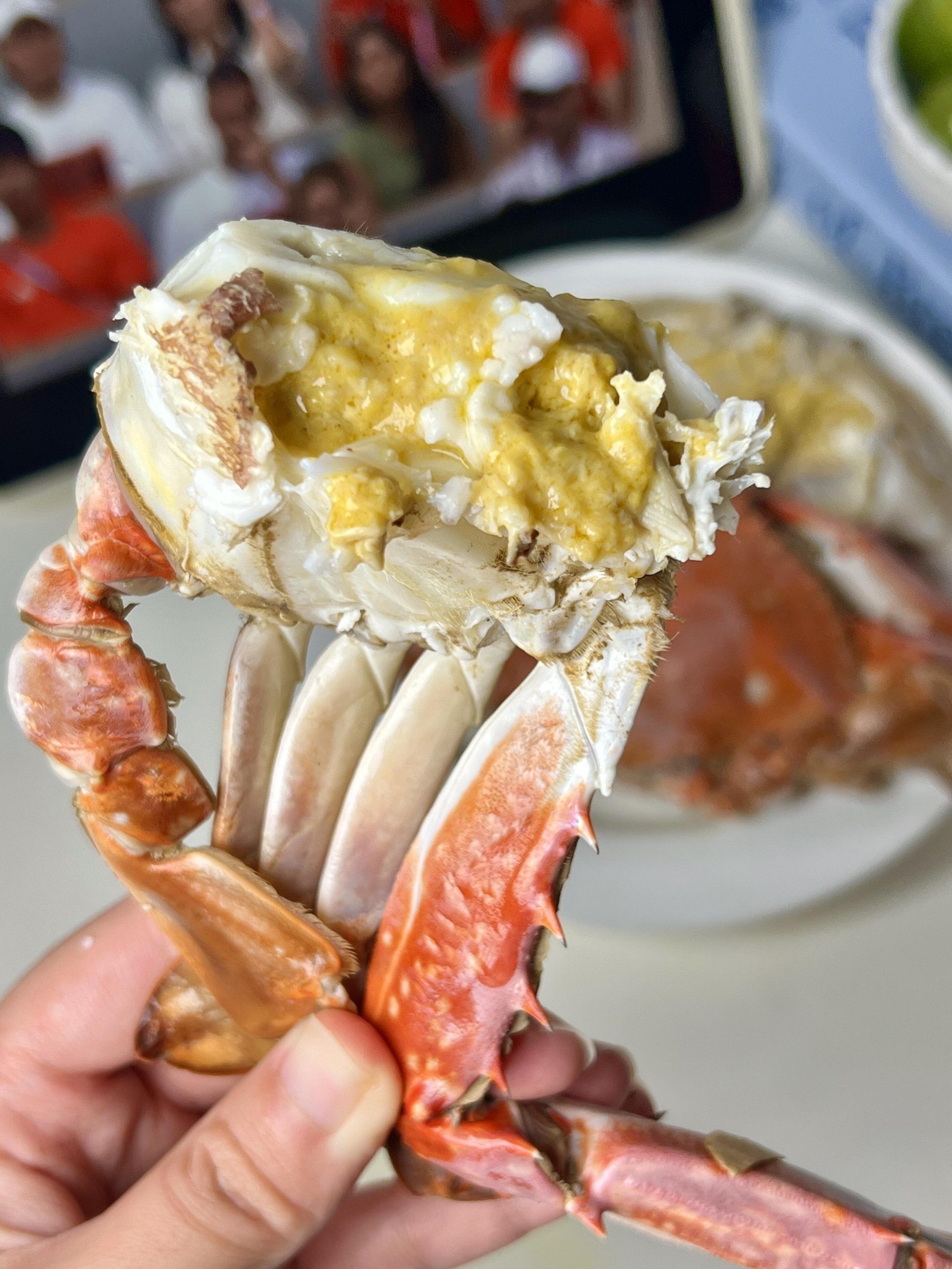 秋天第一顿梭子蟹,太美味了!