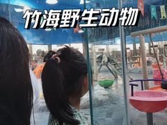 -栾川竹海野生动物园