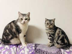 -平行世界·猫咖(首经贸店)