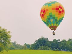 -中国科学院西双版纳热带植物园