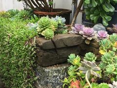 -寂照庵