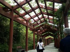 -重庆云阳龙缸景区