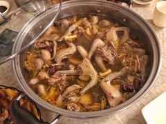 药膳乳鸽汤-百利鸽王(紫薇路店)