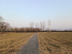 -汉长安城未央宫国家考古遗址公园