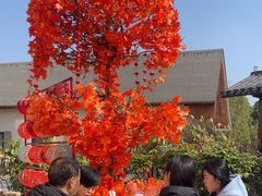 -后湖小院·乡野田园菜